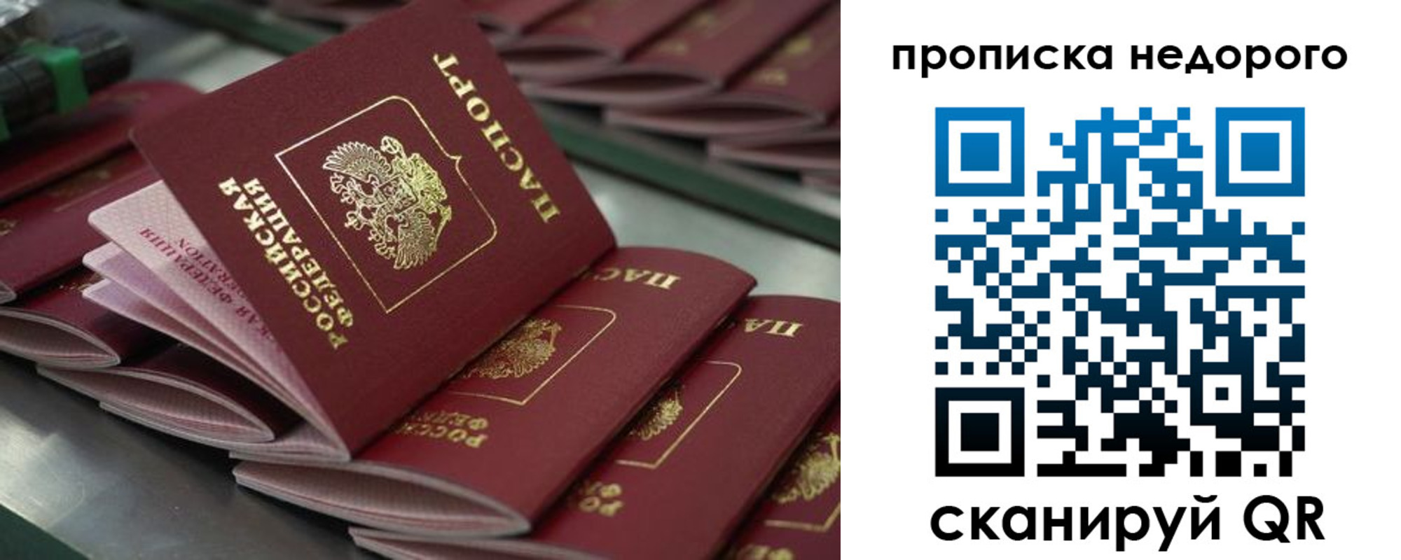 временная регистрация поиск в Миассе